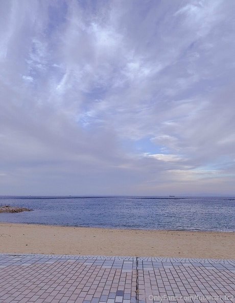 futanari fc2 art star img