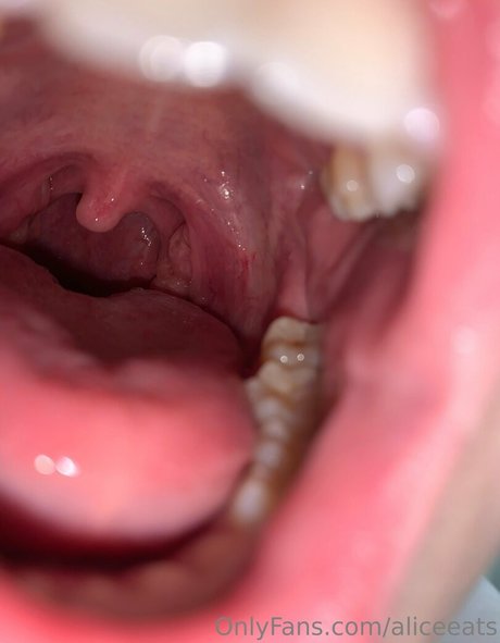 aliceeats naked model gallery