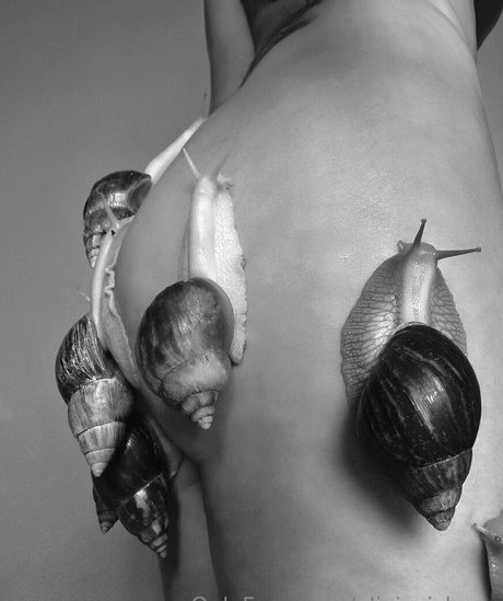 oliviezizkova art star photo