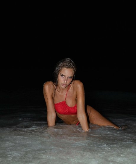 Neta Alchimister top model picture