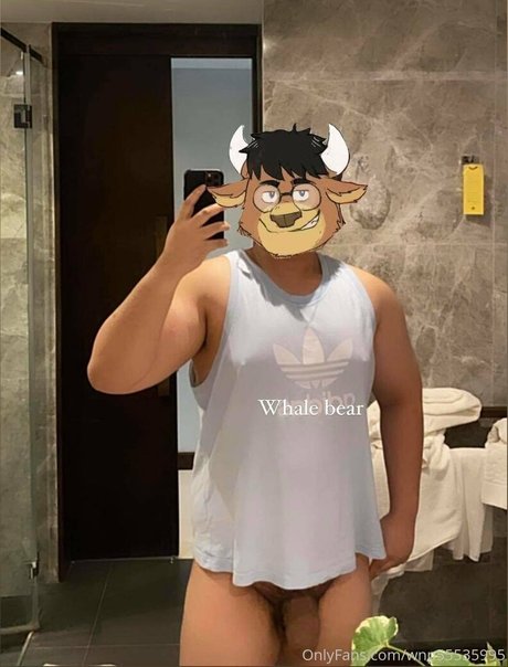 wnp55535995 top model images