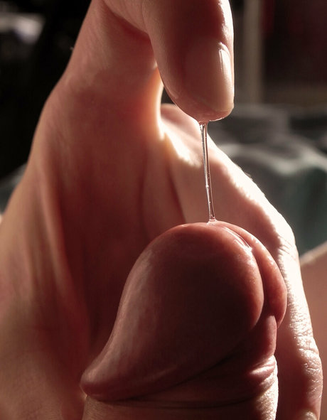 toastmauwmauw pornstar nudes image