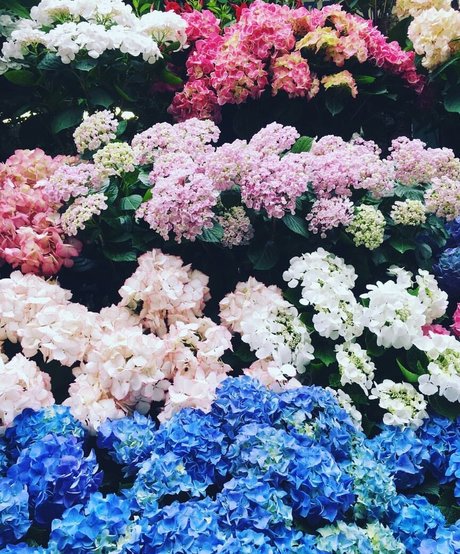 mechanic onlyfans free sexy pictures