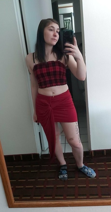 nephthys rex Quick photo