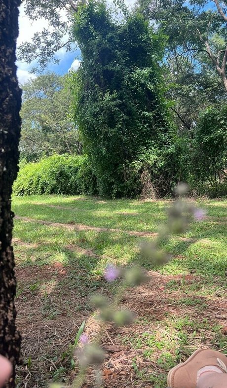 fleivinha pornstar sex image