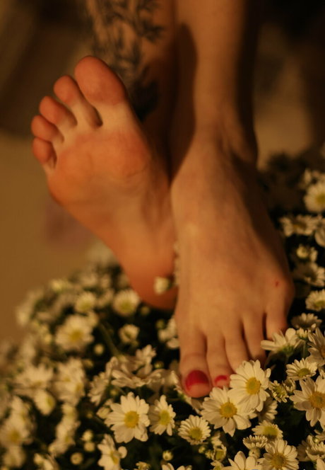 fleivinha high quality pornstar photos