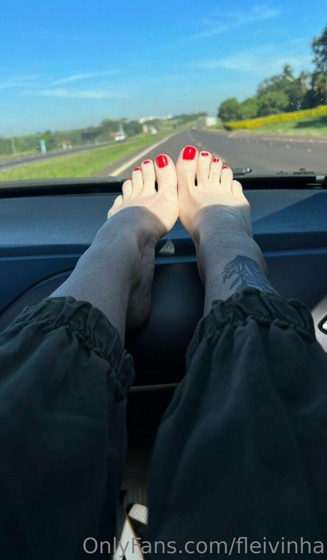 fleivinha beautiful pornstar pic