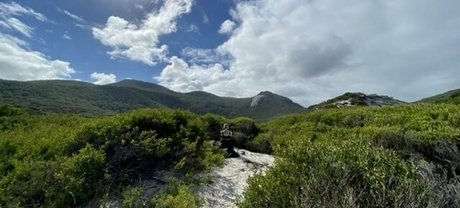 big dildo onlyfans art nude image