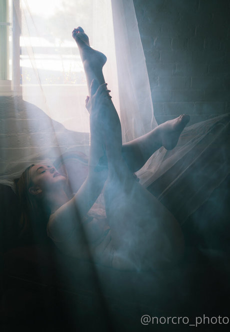 norcro photo star free gallery