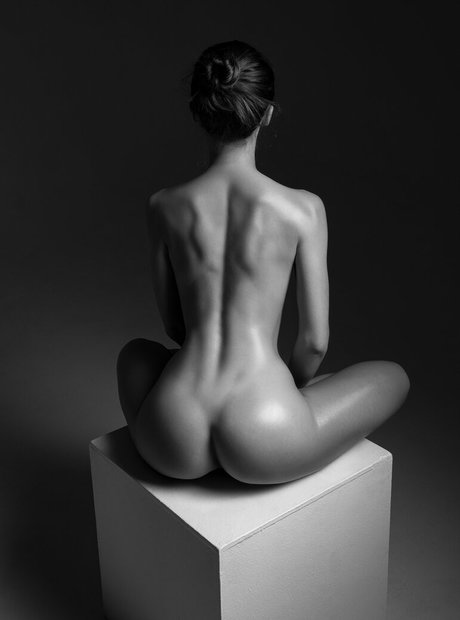 Tim Redu pornstar high quality pictures