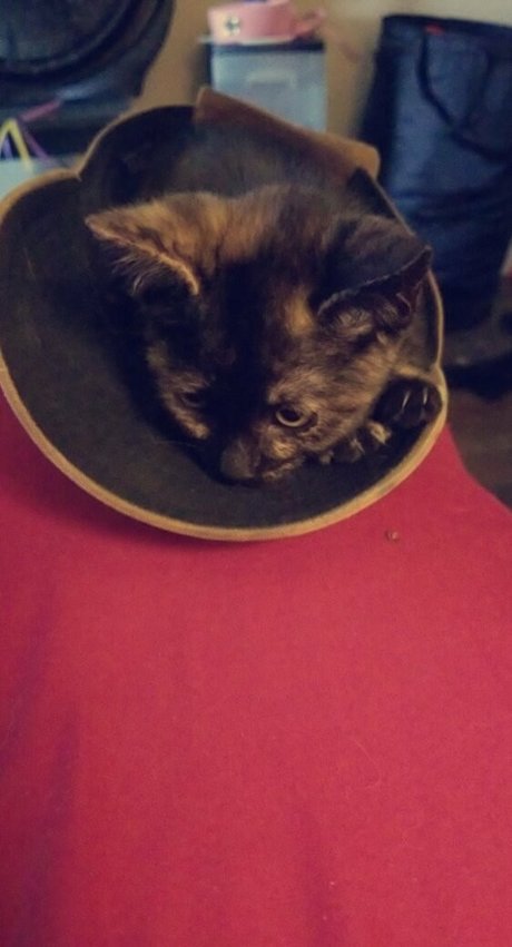 missmelonee model photo