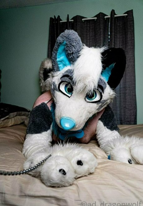 ad dragonwolf beautiful model picture