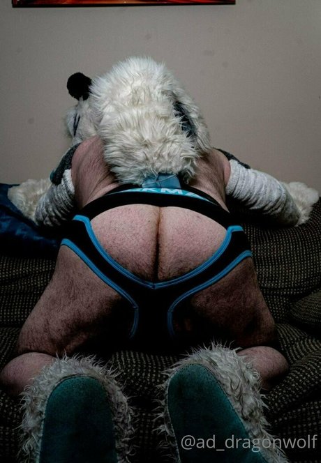 ad dragonwolf star pretty img