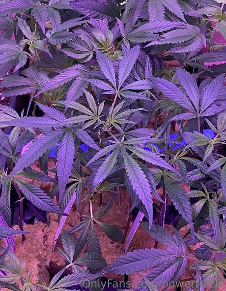 powerfulclit star nude archive