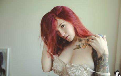 Cvrmillv star free image