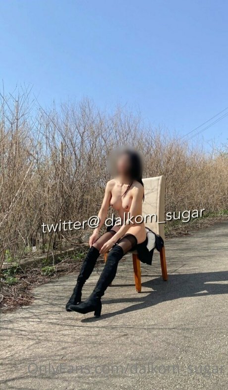 Dalkom sugar model nice picture