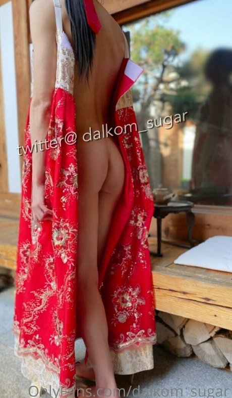 Dalkom sugar model nude photos