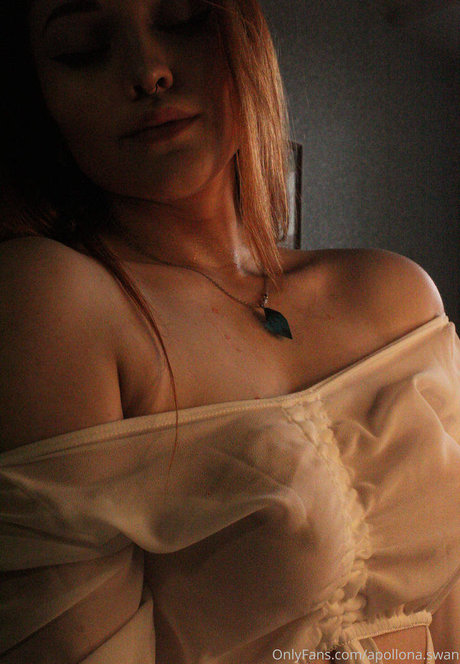 apollona swan model adult image