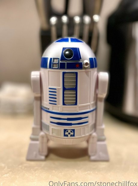 stonechillfox star nice pictures