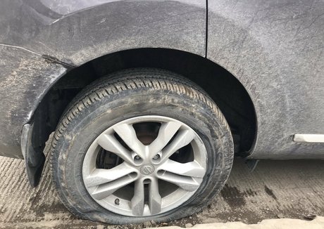 ginababy xo erotic pornstar galleries