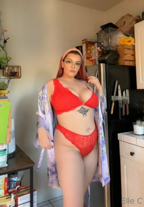 ellecroc star xxx image