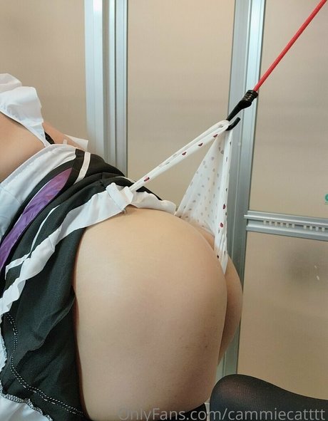 cammiecatttt naked model pics