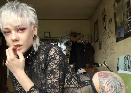 guapafree star high quality img