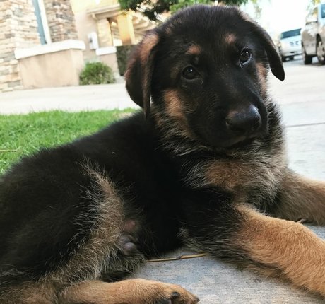 Kimi McFarland pornstar exclusive img