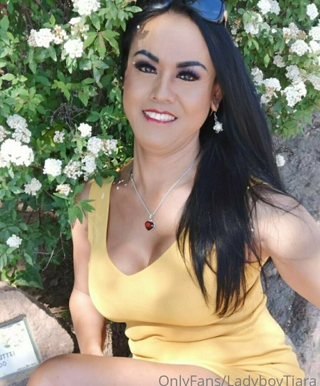 ladyboytiara model high quality galleries