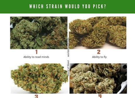 handjob pov onlyfans best img