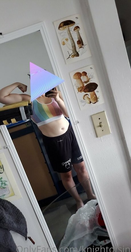 knightofsin art model images