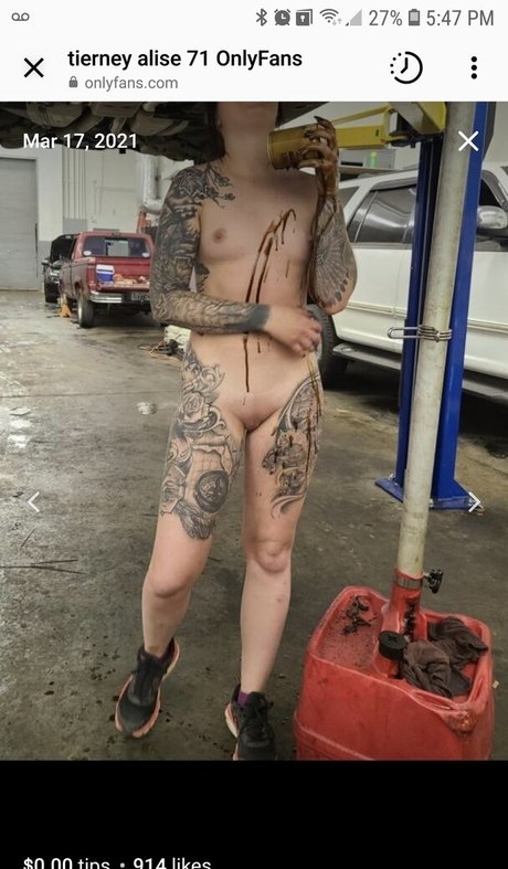 Barrel racer71 star nice photos