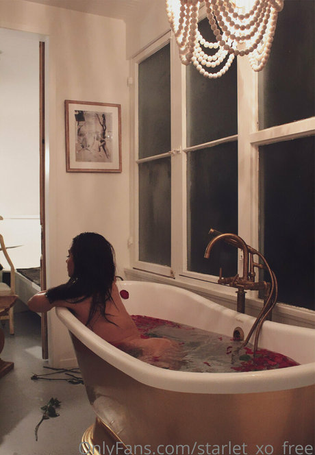 starlet xo free nice pornstar photos