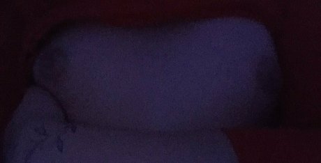 stefanyfreitass pornstar top img