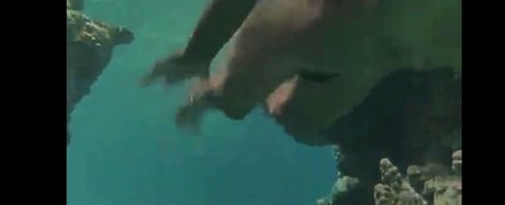 Phoebe Cates perfect actress photos