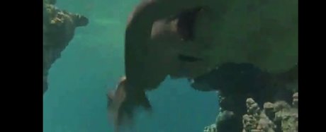 Phoebe Cates pornstar sexy images