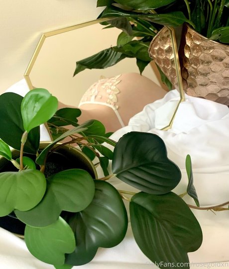 rosegoldxn perfect actress pictures