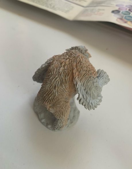 fitnessmodel onlyfans hot sexy photos