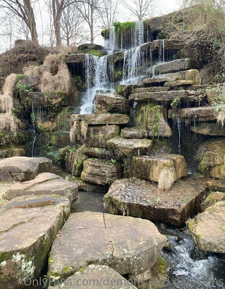 demons and delusions star art pic