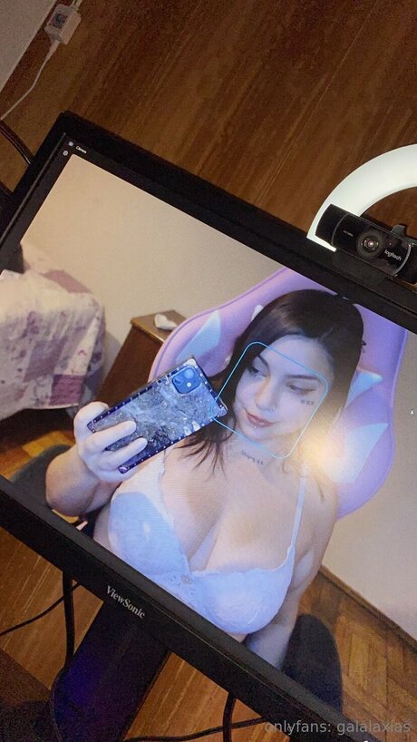 Galalaxias model top img