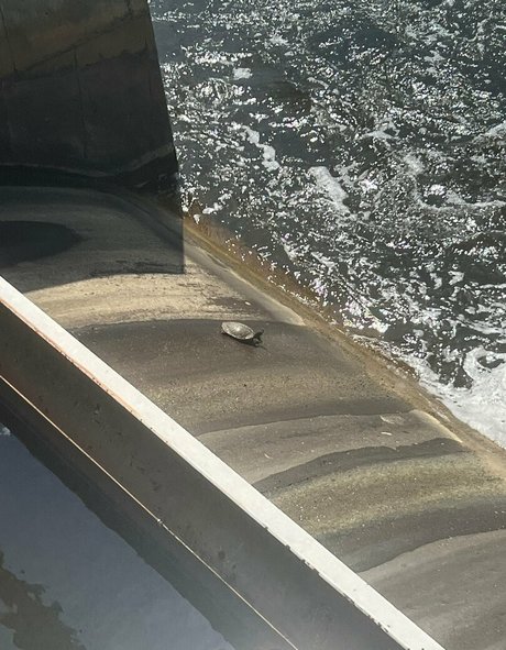 akiraalita Quick photo