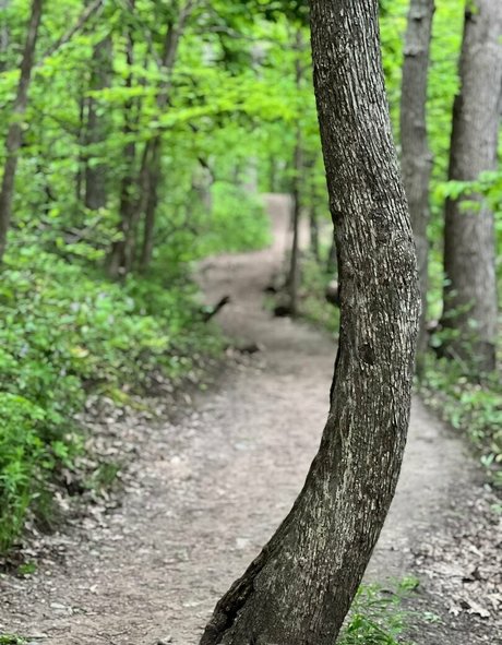 akiraalita best star pic