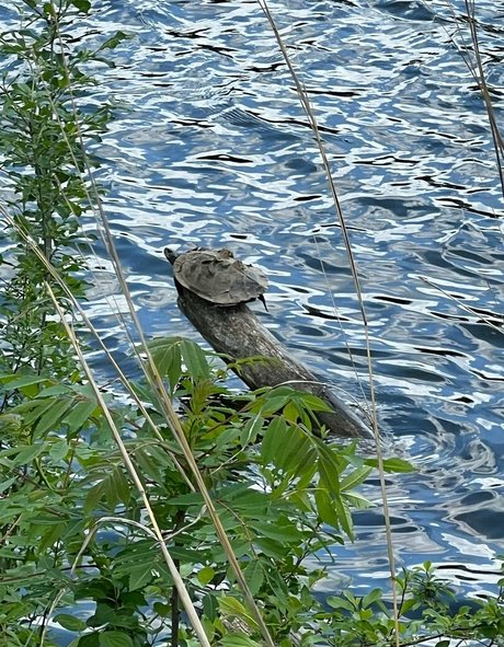 akiraalita nudes actress photos