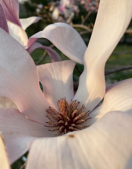 anal xxx onlyfans xxx image