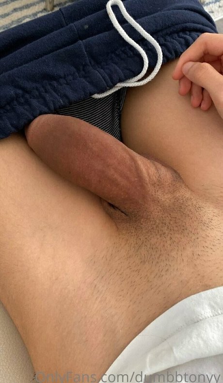 dumbbtonyy xxx pornstar galleries