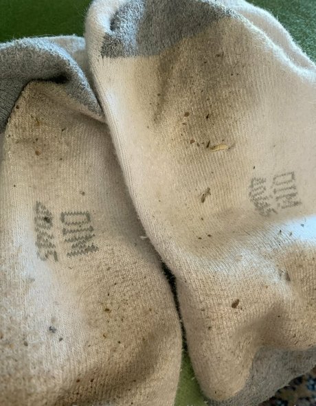 mommy son onlyfans exclusive pic