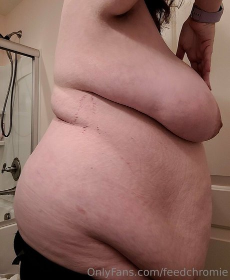 feedchromie pornstar galleries