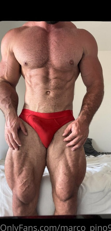 marco pino91 star hot archive