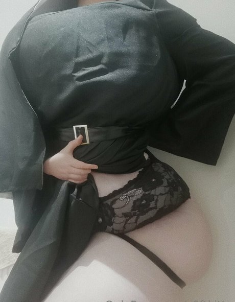 Soft kittn high quality model archive