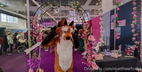 matthewfoxbe star free gallery